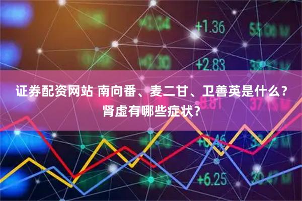 证券配资网站 南向番、麦二甘、卫善英是什么？肾虚有哪些症状？