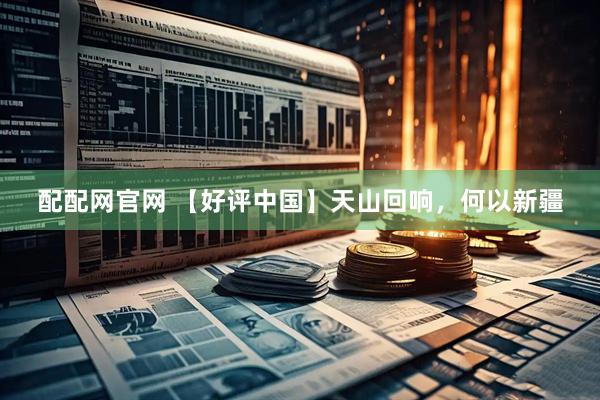 配配网官网 【好评中国】天山回响，何以新疆